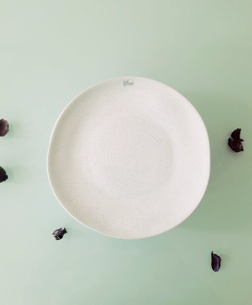 6 Assiettes à dessert 1285458