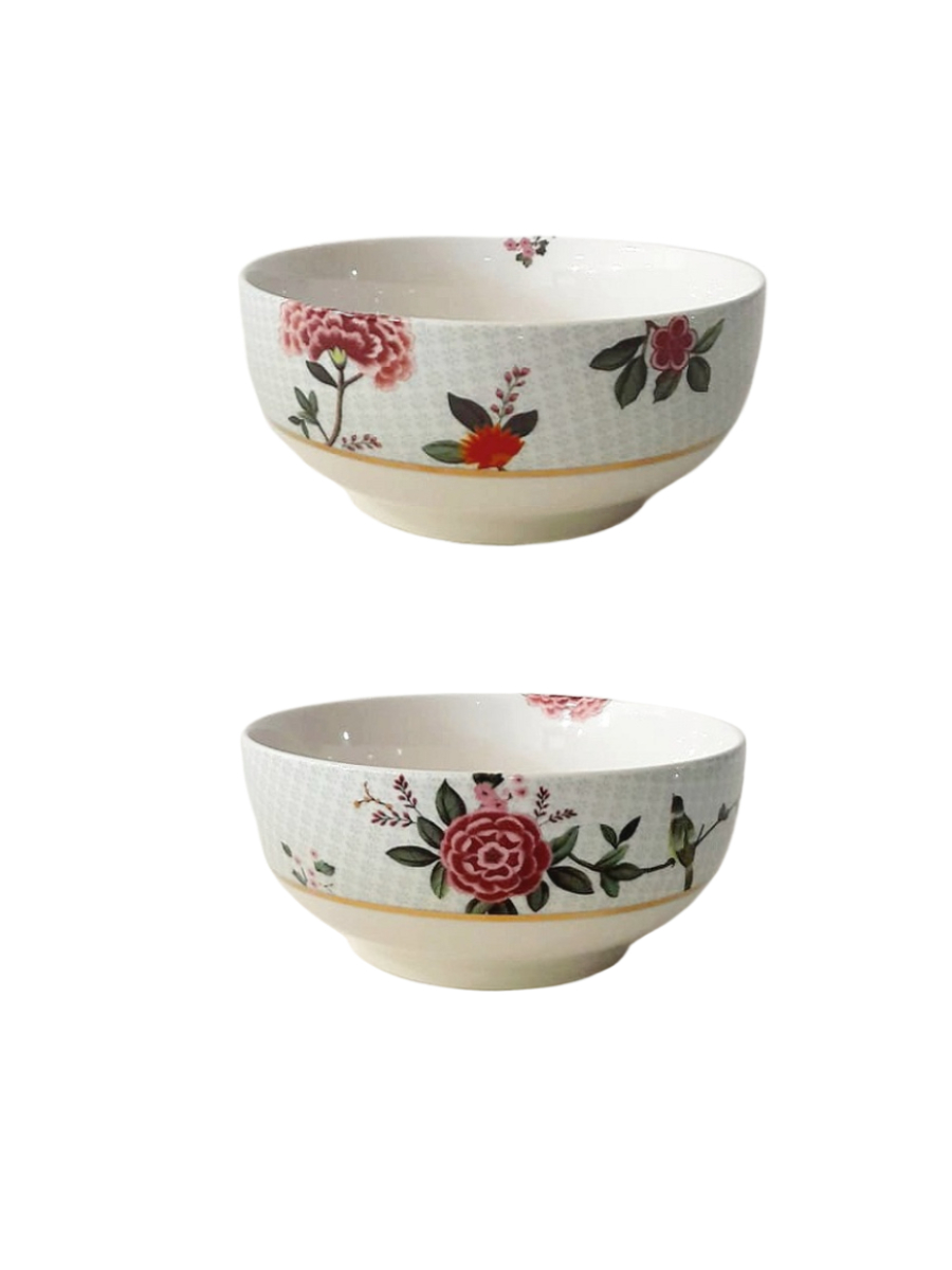 2 Bols Oiseaux rougissants