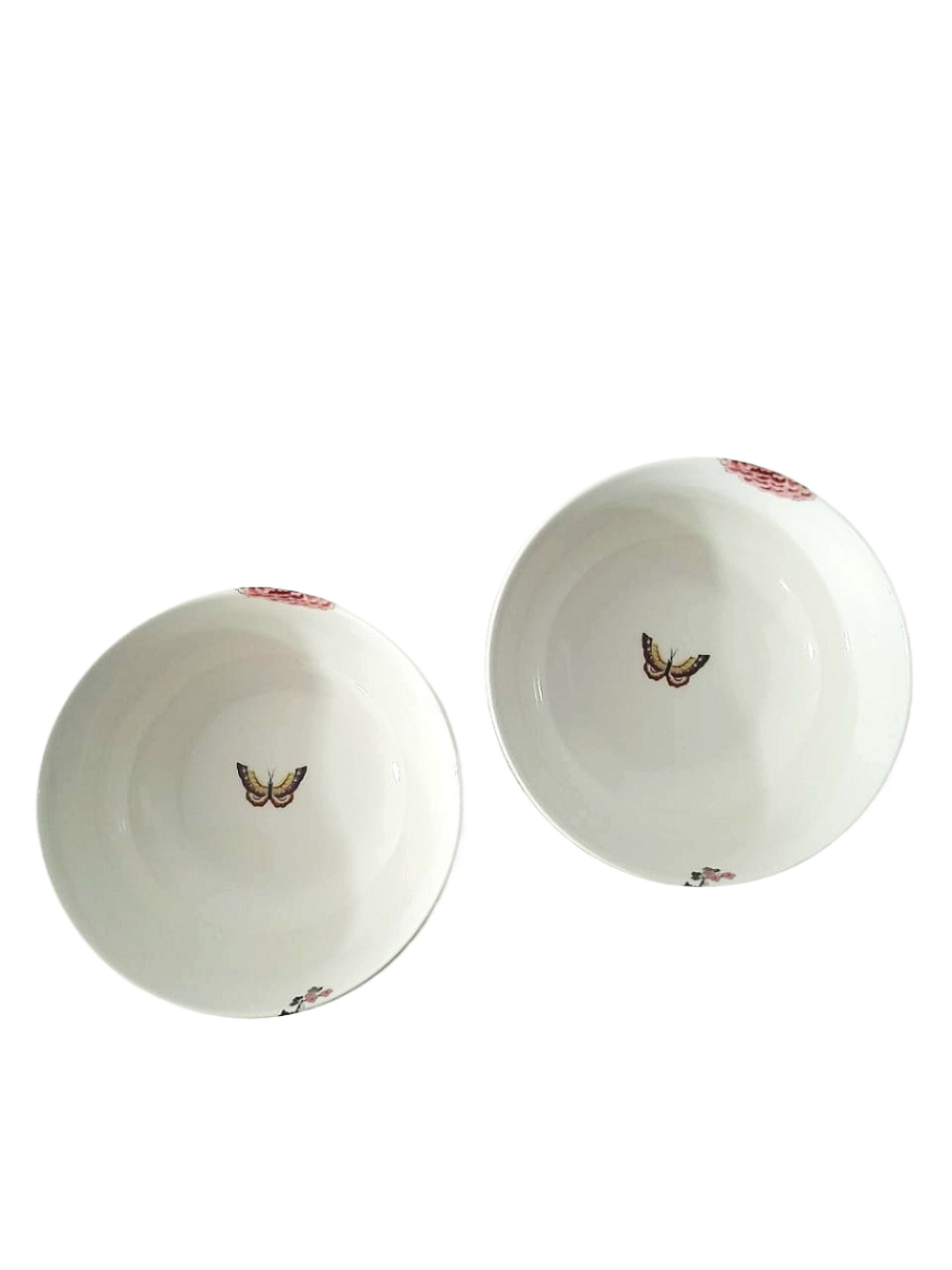 2 Bols Oiseaux rougissants – Image 2