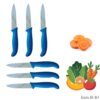 6 couteaux à légumes
